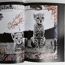 GUP EXTRA EDITION #1 SPECIAL LIMITED EDITION OF GUP MAGAZINE AND PETER BEARD 