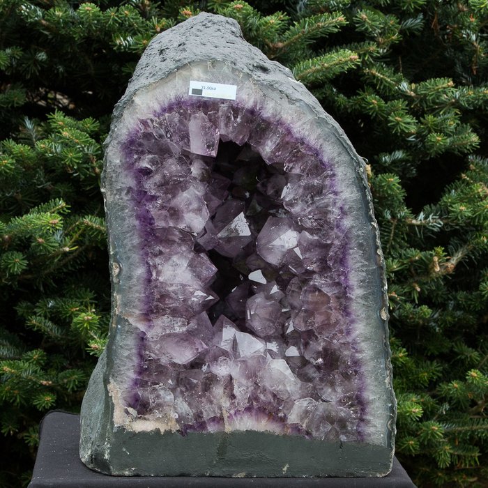 獨家大型紫水晶地質 - 40×26×20 cm - 31.9 kg