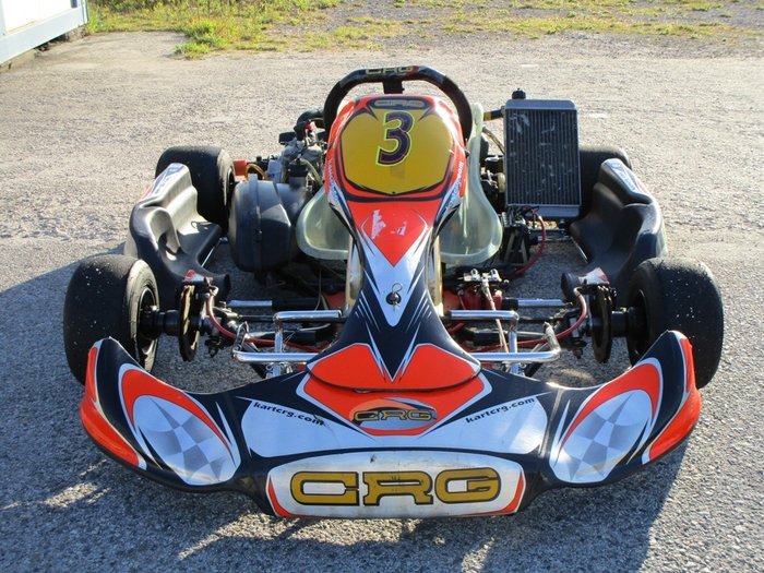 Engine / engine parts - Kart CRG Rotax DD2 - 2012. 