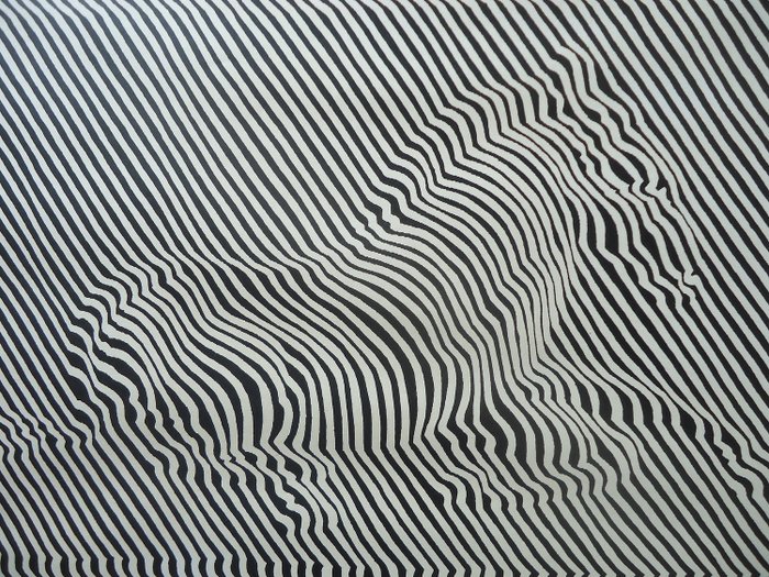 Victor Vasarely - Zebre  --Zebra