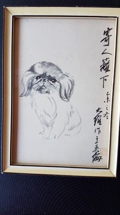 Lithographic print, Pekingese dog - China - Signed Guo Da Wei - dated 1955