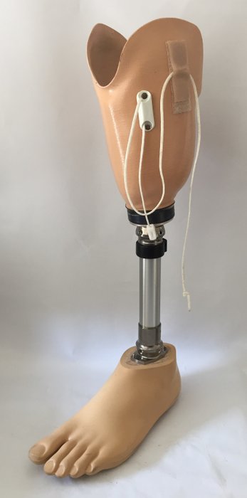 Prototipo de prótesis de pierna inferior Otto Bock / pierna inferior izquierda tamaño 27 (1) - Titanio