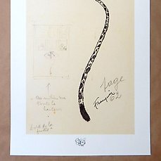 Franquin, André - 1 Offset Print - Marsupilami - 2018 Comic Art