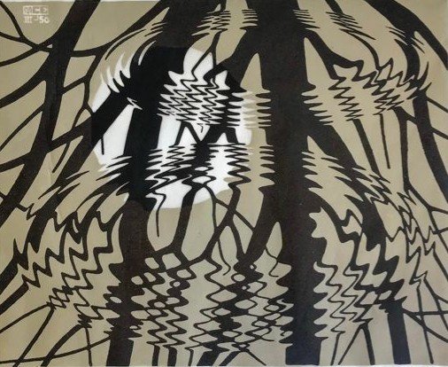 Maurits Cornelis Escher (1898 - 1972) - Rippled Surface (Bool 367)