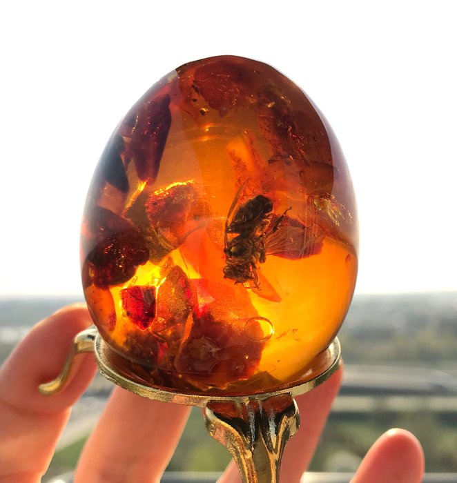 Amber (fossilized resin) 雞蛋與琥珀和蜜蜂昆蟲包含 - 54×44.7×44.7 mm - 71.4 g
