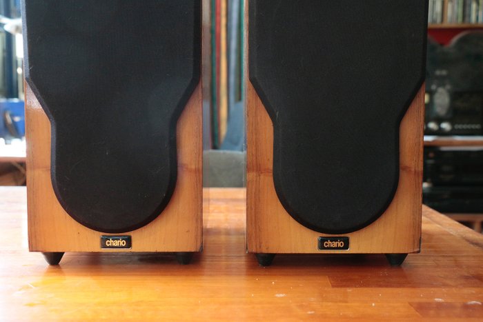 Chario - SYNTAR 100 MONITOR - Speaker set