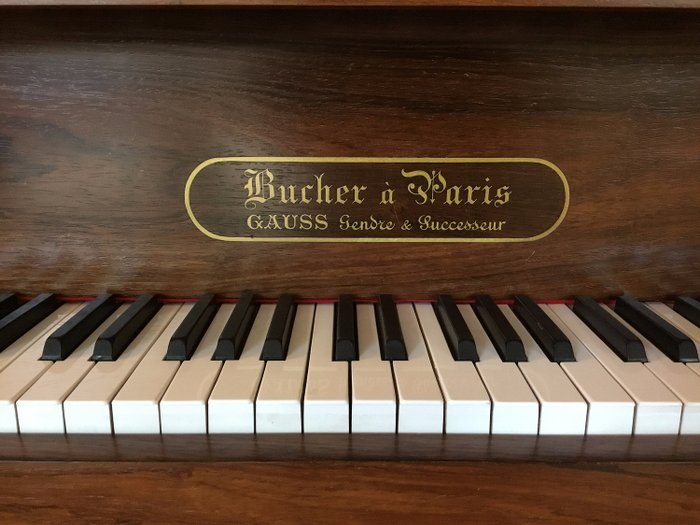 Bucher à Paris - Gaus gendre & successeurs - 170 cm. - 大鋼琴 - 法國 - 1880