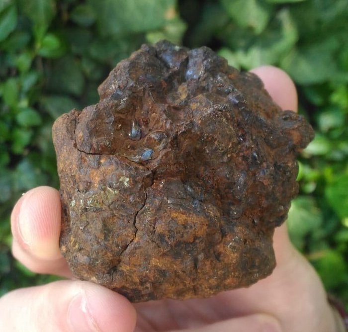 Sericho Pallasit. Stein- Eisen- Meteorit - 221 g