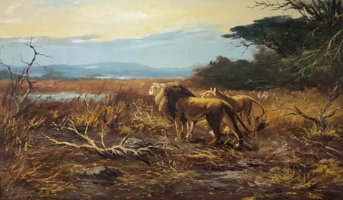 Jacob de Nooijer (20e eeuw) - Leeuwen in avondschemering