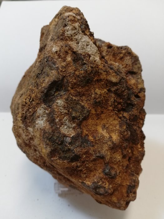 olivijn meteoriet - 1,129 kg - (1)