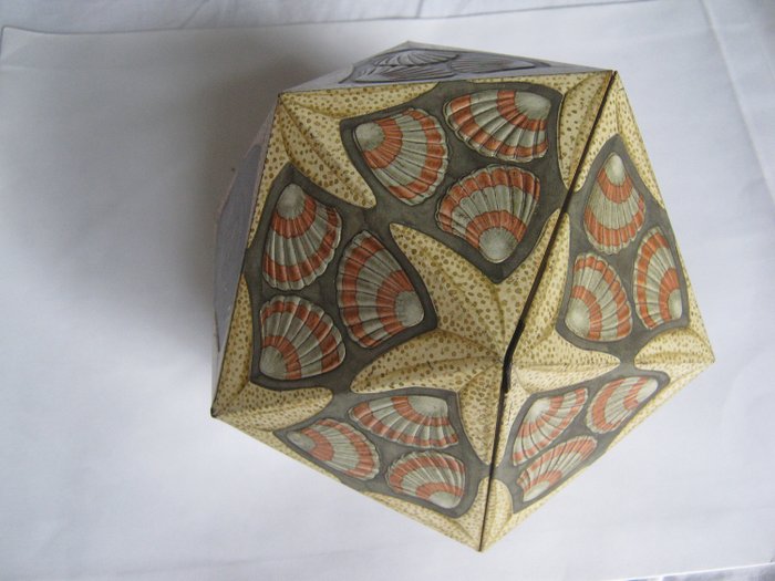M.C. Escher - Verblifa - blik (1) - Icosaeder