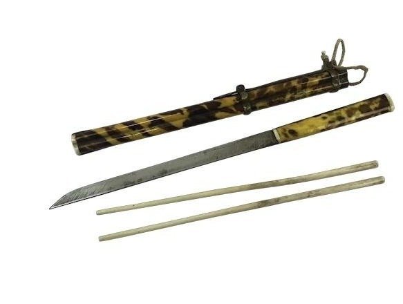 象牙筷子和烏龜盒刀 - 玳瑁, 象牙 - 中國 - 19世紀