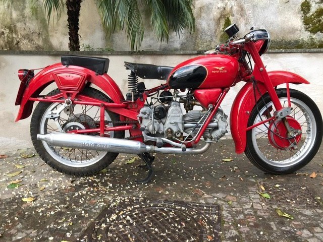 Moto Guzzi - Falcone Sport - 500 cc - 1955