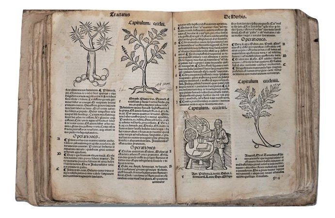 Ortus Sanitatis. De herbis & plantis. De Animalibus & reptilibus - 1511