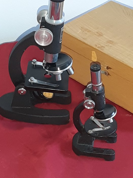 Lancia Microcope (100/300/500x) + Regal Microscope (100/200/300/500x)