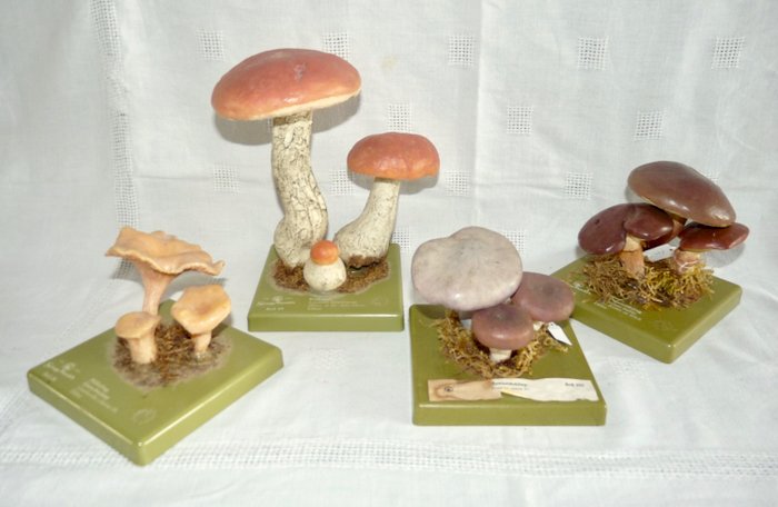 Somso - 旧的教育资源;蘑菇Somso四种型号 (4) - 塑料/不寻常