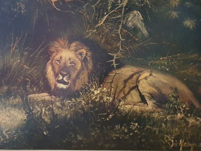 Jacob de Nooijer    (1935) - Resting lions