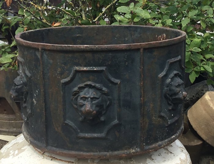 Large cast-iron planter with lion heads - Second half 20th century