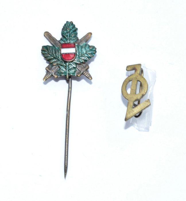 Austria - Heimwehr / Front patriotyczny - 1st Republic - Stan nieruchomości - Odznaka Heimwehr / Jungvolk - 1935