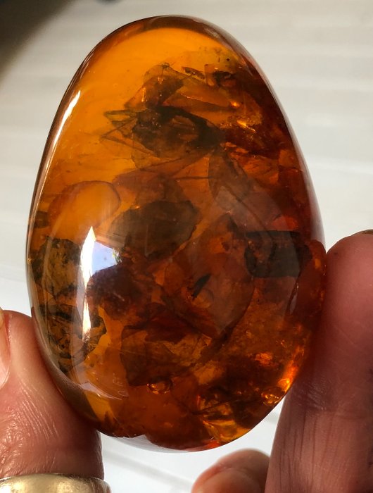 Clear amber egg with inclusions - 7×5×5 cm - 105 g - (1)