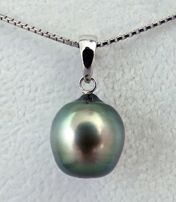 HS Jewellery Tahitian pearl, Green-Blue Circled 11.51 mm X 12.86 mm ...