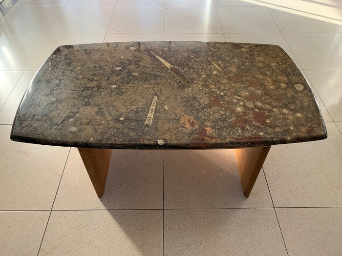 Massive fossil table with a polished flagstone with numerous fossils