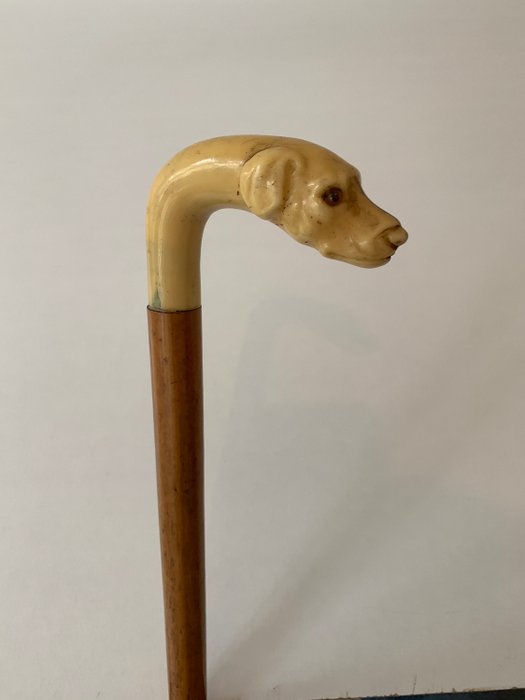 拐杖与狗的头 - 木, 骨 - Early 20th century