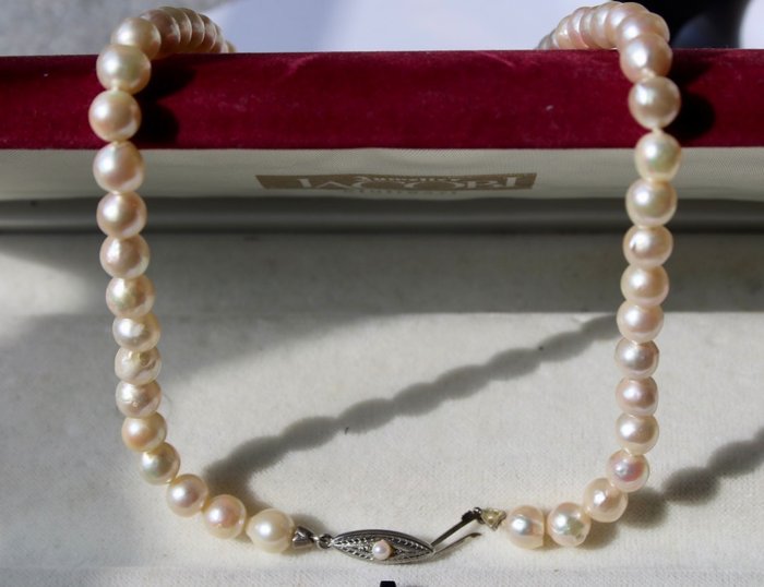 JKA marked - 835 Argento - Collana Perle giapponesi Akoya di sale marino ø 7-7,2mm