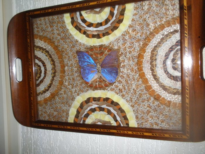 Tablett - Schmetterlingsflügel - Art Deco - Glas, Holz