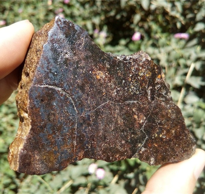 Bondoc meteoritt. Mesosiderite - 171 g