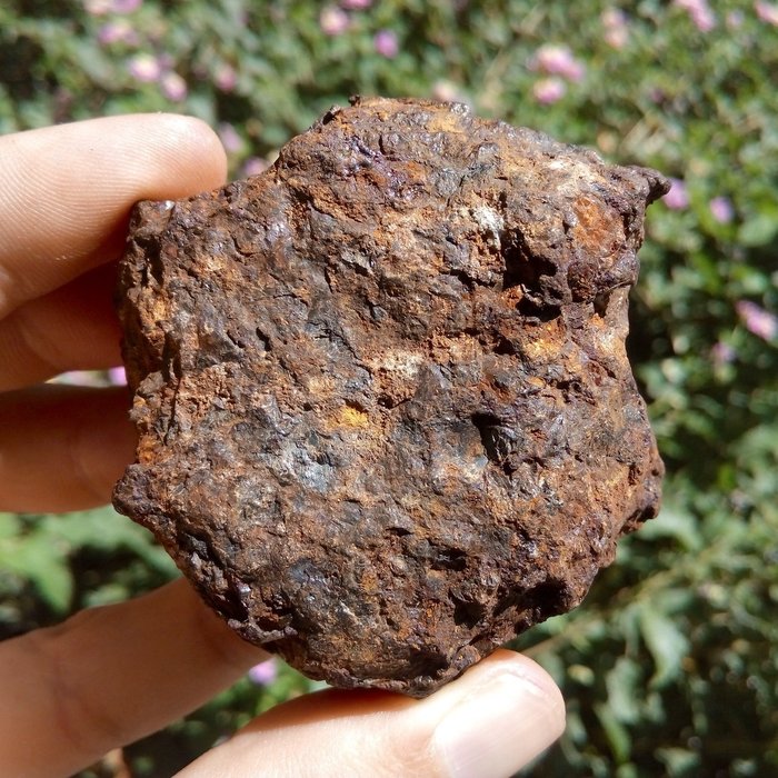 Sericho pallasite. Stony-Iron Meteorite - 237 g