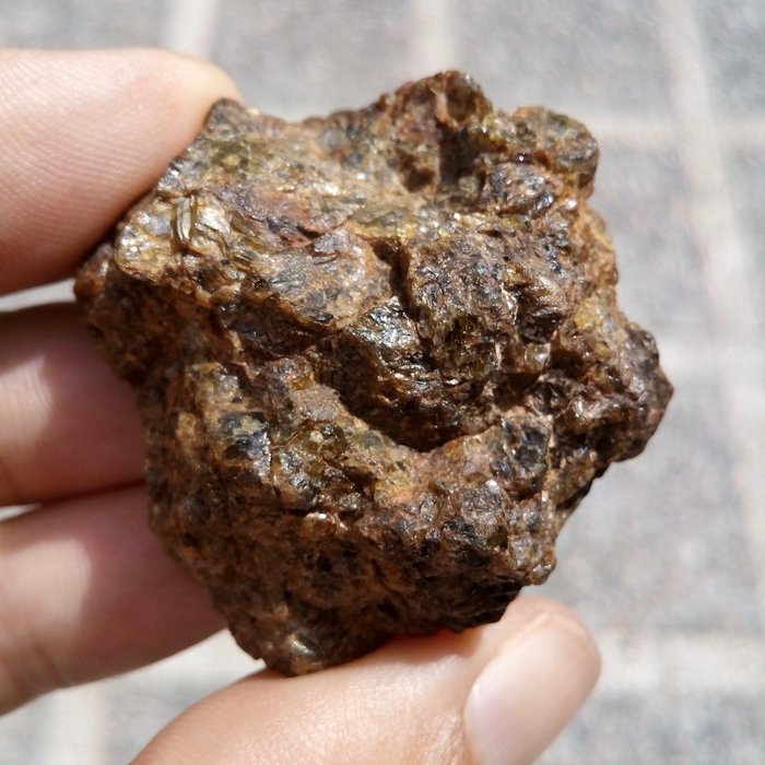 NWA 7831 Meteorito de Diogenite. Rocha do asteróide Vesta - 46.7 g