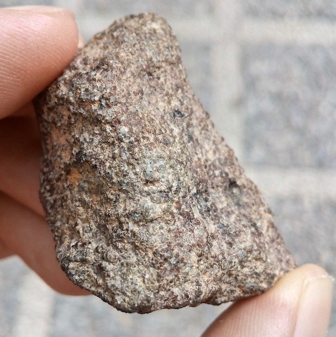 新的火星shergottite陨石， 可能配对NWA12564 - 38.6 g