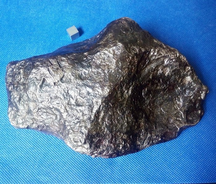 Muonionalusta隕石。 完整的一塊 - 3820 g