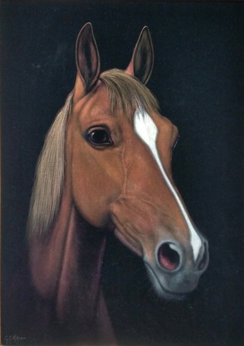 Adema, Gerhardus Jan (1898-1981) - Paardenhoofd Portret