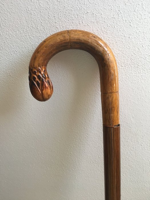 Walking stick - cane with hidden umbrella (1) - canvas iron rod