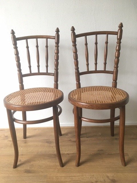 Twee stoelen - Fischel Thonet - Hout