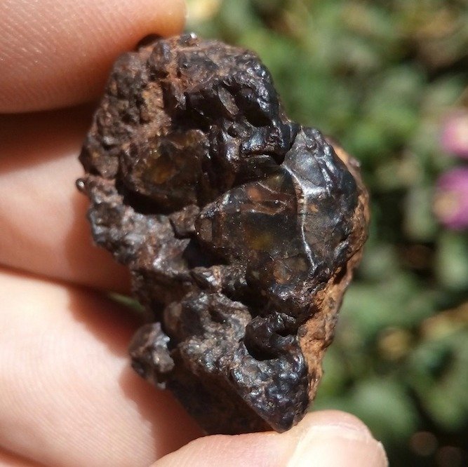 NWA 4482 Pallasite meteorite with big olivines - 14.1 g