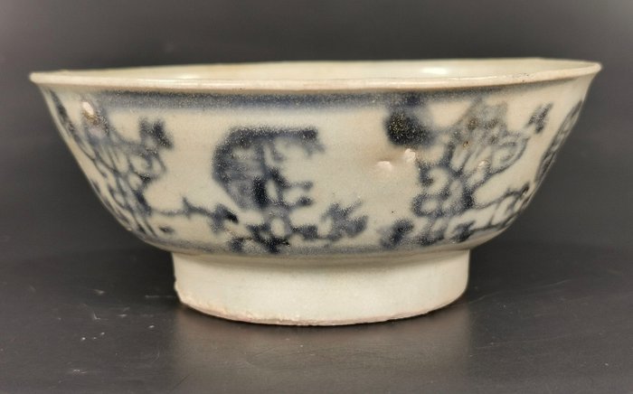 Alte chinesische Ming-Dynastie Porzellan Schüssel