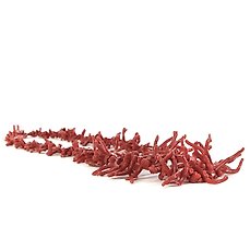 红珊瑚项链- 270×45×2 mm - 45 g - Catawiki