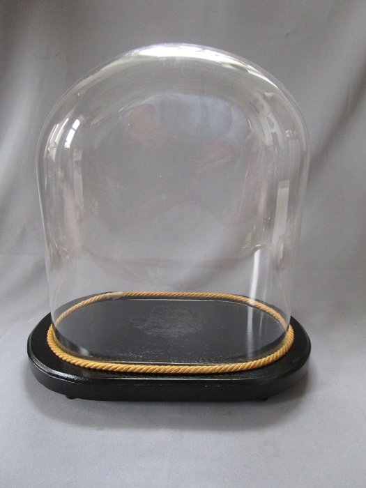 Large, oval, antique glass dome - glass lintel - glass dome - glass bell - with base (wood) - height with base approx. 40 cm - hand-blown glass