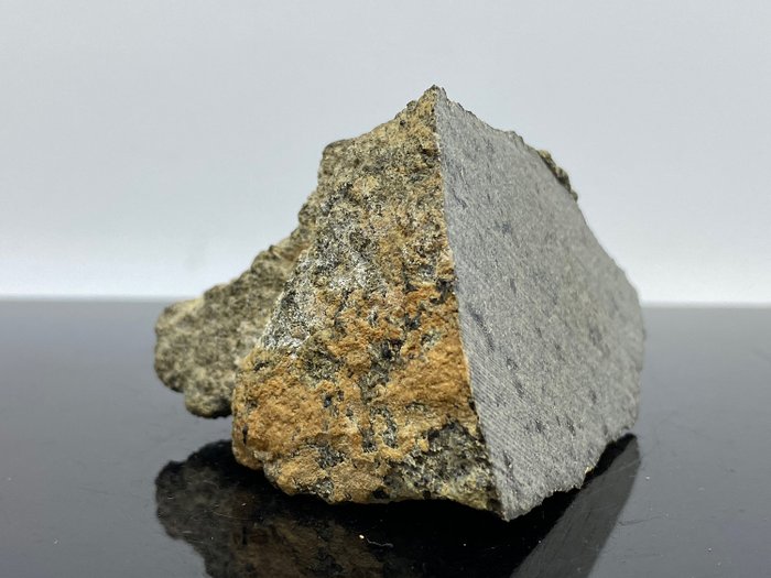 XXL Museum Meteorit MARS NWA 13257 Shergotita Endschnitt - 175.3 g