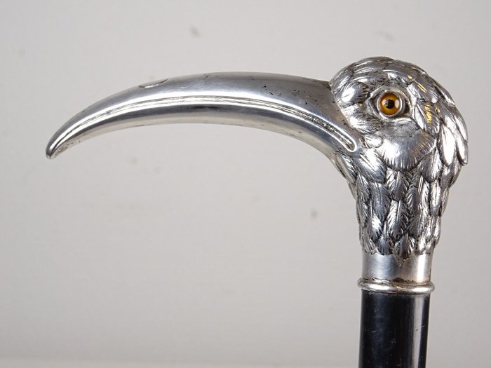 Walking stick with bird head handle - Hardwood, silver  - 19th century