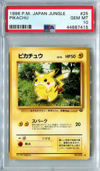 Pokemon Pikachu No.025 Jungle Set Japanese