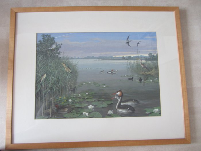 Hendrik Johannes Slijper (1922-2007) – Waterlandschap met vogels