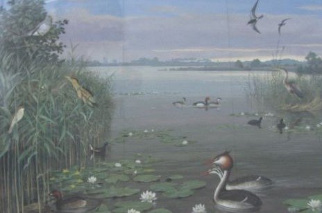 Hendrik Johannes Slijper (1922-2007) – Waterlandschap met vogels