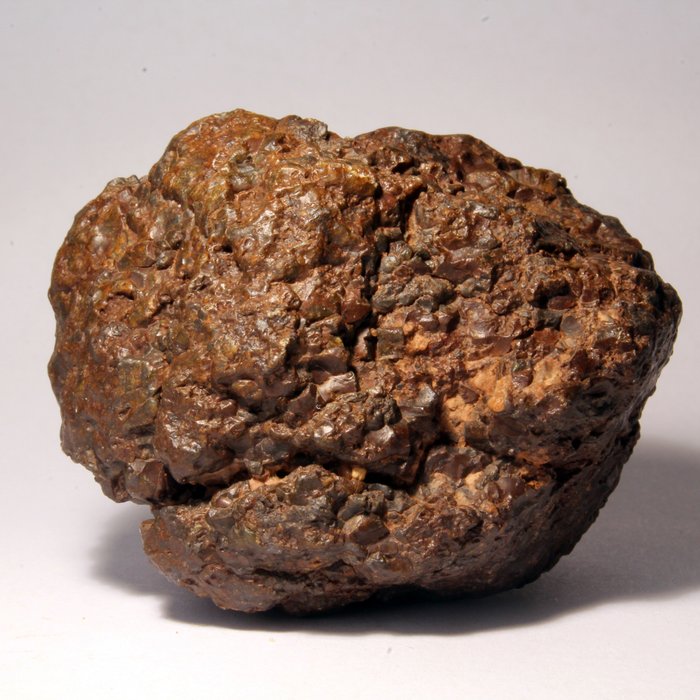Météorite primitive achondrite Uréilite - 43×35×30 mm - 59.02 g - (1)