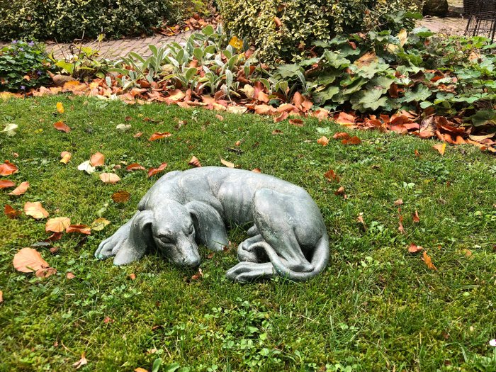 Ornamento statua da giardino a grandezza naturale del cane di Weimaraner che dorme - 9Kg - Composito - Fine del XX secolo