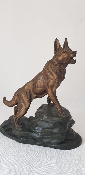 Louis-Albert Carvin (1875-1951) - Beeld, "Wolf hond op rots" - Regule - Eerste helft 20e eeuw