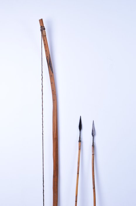 Bow and arrow (3) - 木, 金属 - 侏儒 - 刚果 
